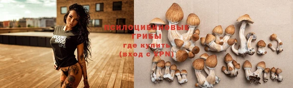 крисы Бугульма