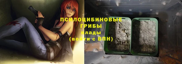 твердый Бронницы
