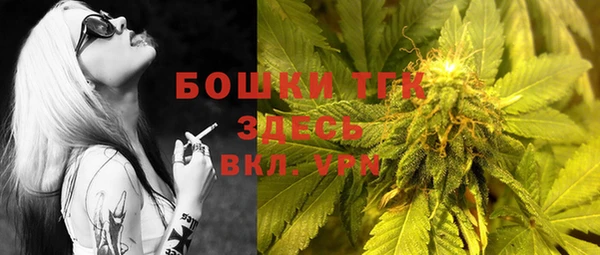 твердый Бронницы