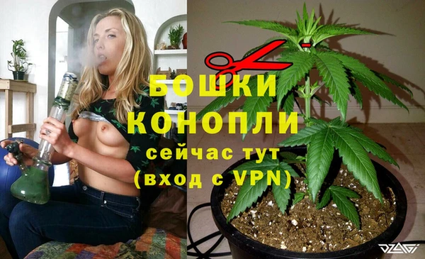 крисы Бугульма