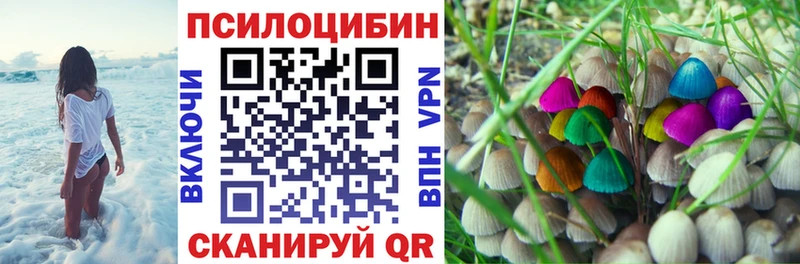 Купить закладки Белая Холуница Галлюциногенные грибы Psilocybe